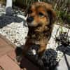 Charly sucht seine Lieblingsmenschen!