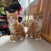 Martin et Bruno