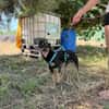WINSTON (Martina)
