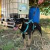 WINSTON (Martina)