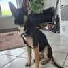 Knuffige RONA