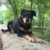 MYLO sucht neues Zuhause