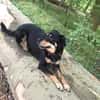 MYLO sucht neues Zuhause
