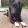 NYX -Klein, liebenswert und charmant-