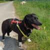 NYX -Klein, liebenswert und charmant-