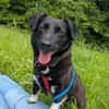 NYX -Klein, liebenswert und charmant-