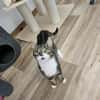 ÄFFCHEN - auf der Suche nach Abenteuern!