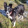 Talvi - hat Sonne im Herzen