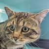 TITUX C