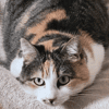 Nina