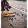 Lobo, sanfter Riese sucht Einzelplatz