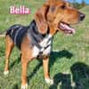 Bella - freundlich und sozial
