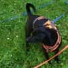 Tommy, Neuanfang gesucht