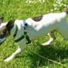 IZZY ♥ Unkompliziert & Lieb  in DE