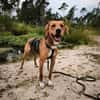 Anton ~1/25 m  such zuhause zum verliebe
