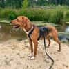 Anton ~1/25 m  such zuhause zum verliebe