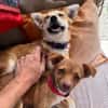 Die Minis Lilli und Lali suchen dich.