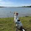 Kleiner Charmeur sucht Anhang
