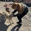 Herzenshund Snoopy sucht Zuhause
