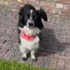 Kleine Emma sucht Zuhause