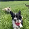 Kleine Emma sucht Zuhause