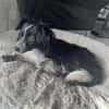 Kleine Emma sucht Zuhause