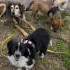 Kleine Emma sucht Zuhause