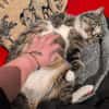 Sid sucht ein liebevolles Zuhause