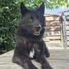 GARIK - hoffnungsvoll