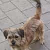 Tony° in 86529 Schrobenhausen