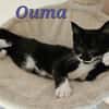 OUMA