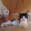 Stripe sucht DICH als Spielpartner!