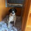 ❤Malika❤ sucht ihre Familie