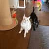 Nemo und Pack suchen zusammen