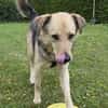 Feiner ♥Flinn♥ wartet in 65191 Wiesbaden