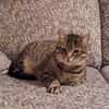 Einzelprinzessin Flia sucht ihre Familie