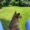 kleine Missy - wo ist mein Zuhause