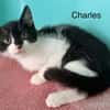 CHARLES