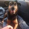 Filemon