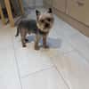 Nevan