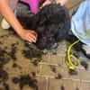 Leonie sucht ihre Familie