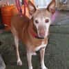 Zeta1 sucht ein Zuhause/