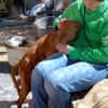 Zeus2 sucht ein Zuhause