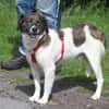 Leonie ist ein absoluter Schatz