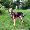Tolle, liebenswerte, aktive Ariel sucht