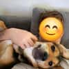 Tolle, liebenswerte, aktive Ariel sucht