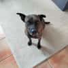 GRETA -Sonnenschein mit viel Charme-