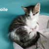 Etoile