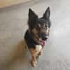 Xena