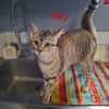 Aby